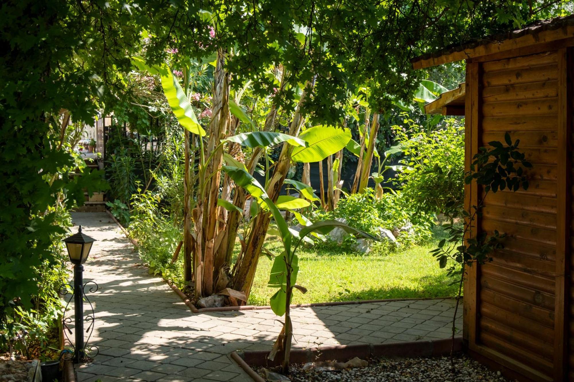Standart Bungalov