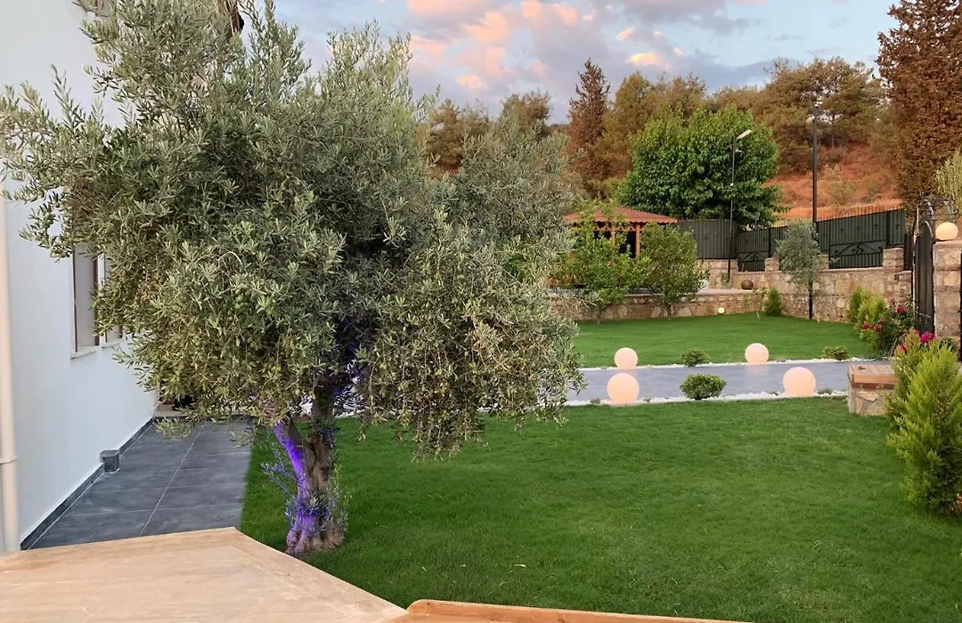 Villa Kelebek-1