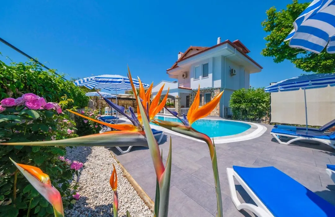 Tatil Premium Villa Baron-1