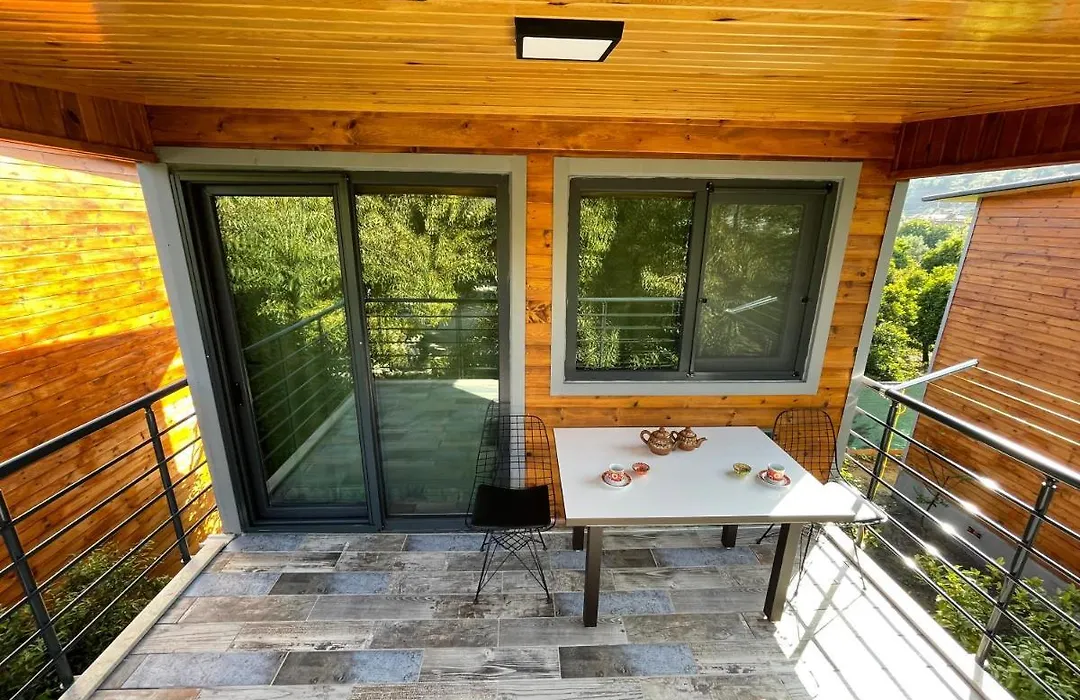 Avohomes-1