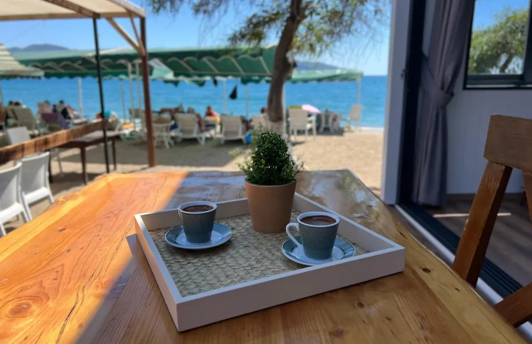 Calis Tiny House-1