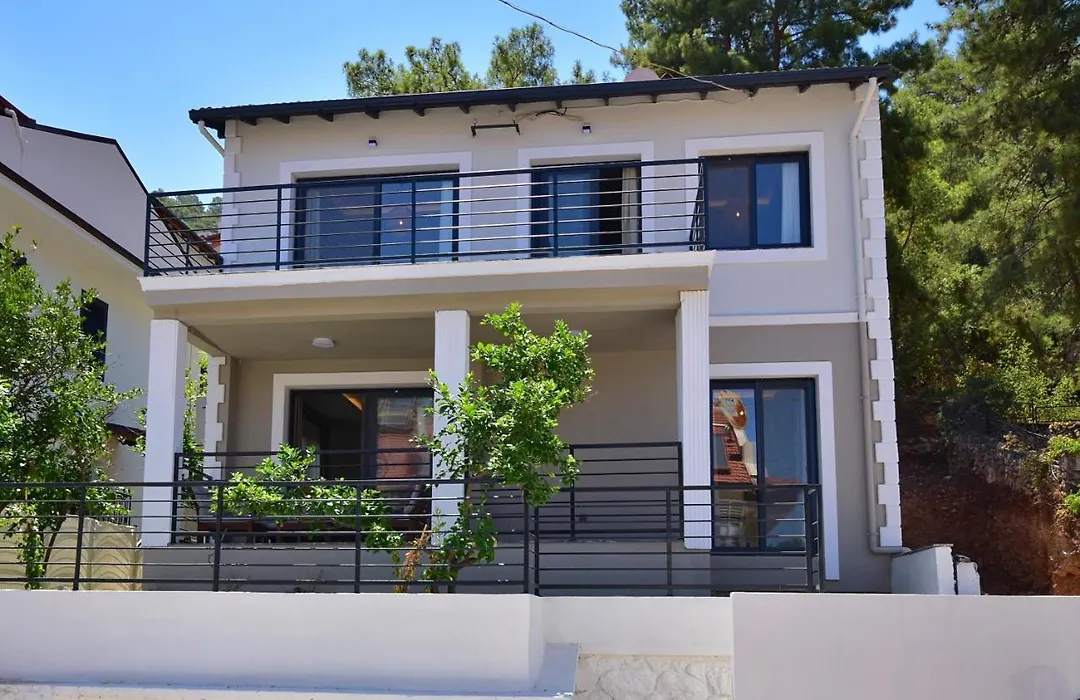 Villa Citrus-1