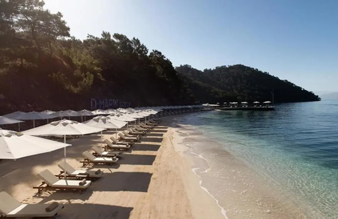 Luxurious Forest Villa In Gocek - Pine-1