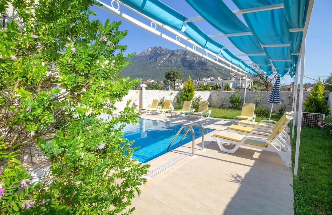 Onix Villa, Oezel Havuzlu, Fethiye-1