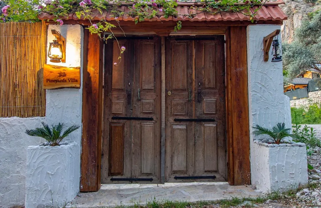 Pineyard Villas Fethiye-1