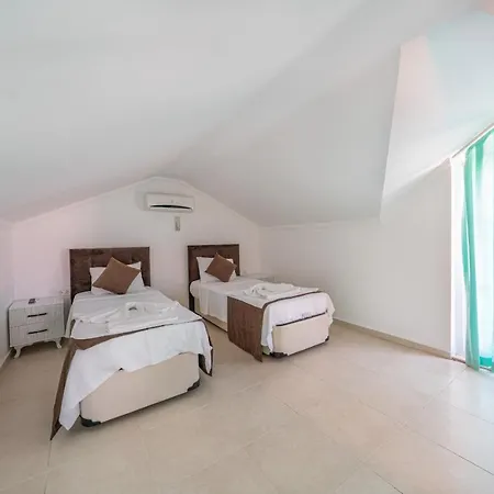 Villa Pine 8, In Hisaroenue, Turkey-2