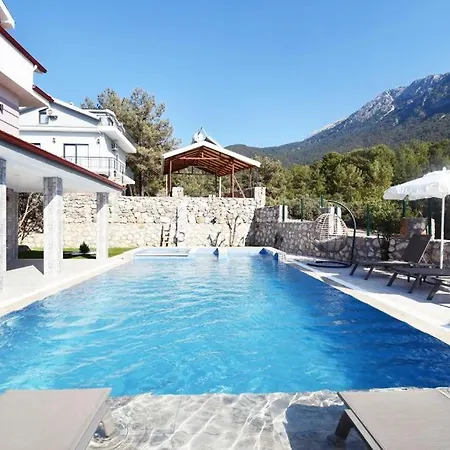Desen Villa 2-3