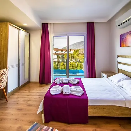 Villa Lilya Hisar-3