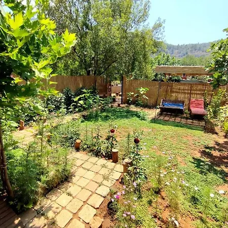 !!Welcome To The Jungle!!! Almond House-2