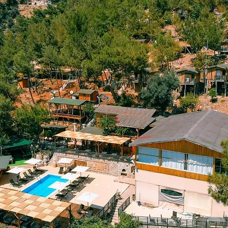 Tree Houses Hotel-2