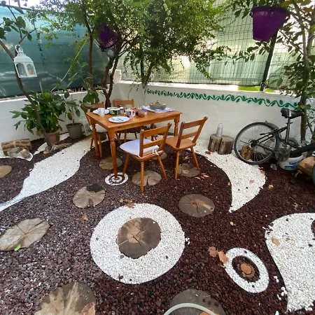 Studio Home-3