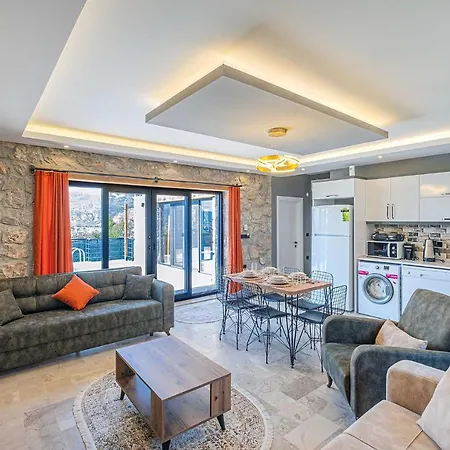 Zeytin Villa-3