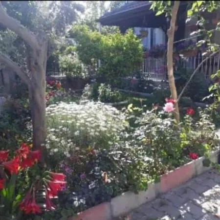 Villa Ces-3