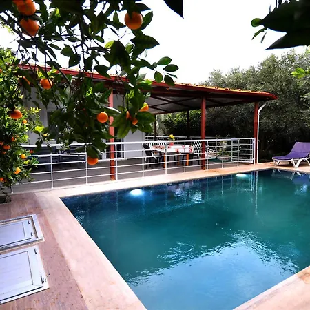 Avci Villa-Fethiye 3+1 In Garden With Private Pool, 10 Minutes To The Beach-2