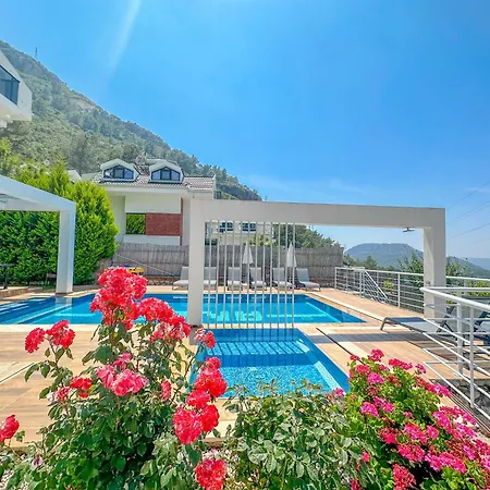 Villa Alya, Spacious 4 Bed Villa With Private Pool-3