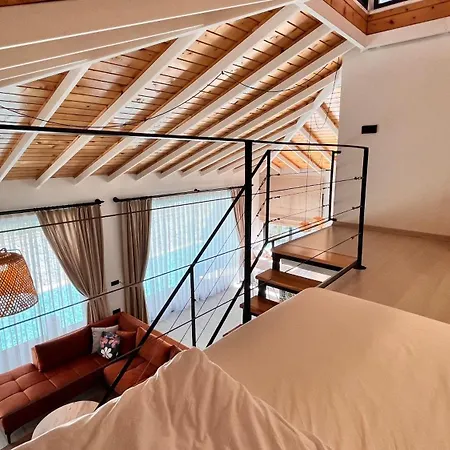 Root House-2