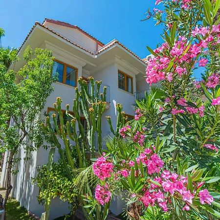 Dream Of Oludeniz Hotel-2