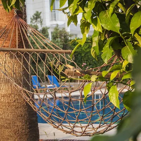Turtle Apartments-3