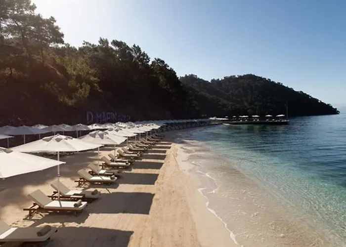 Haustierfreundliches Luxurious Forest Villa In Gocek - Pine Fethiye